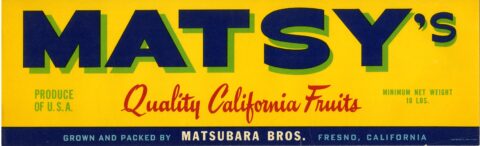 Matsy s