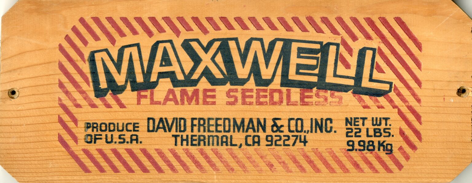 Maxwell Maxwell
