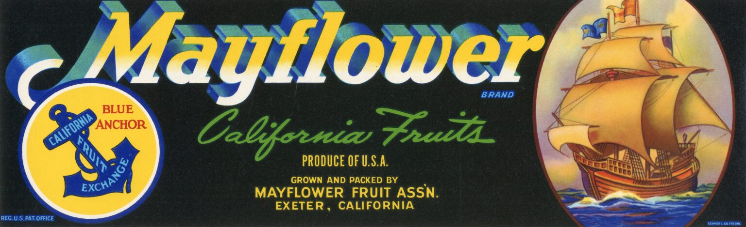 Mayflower Mayflower