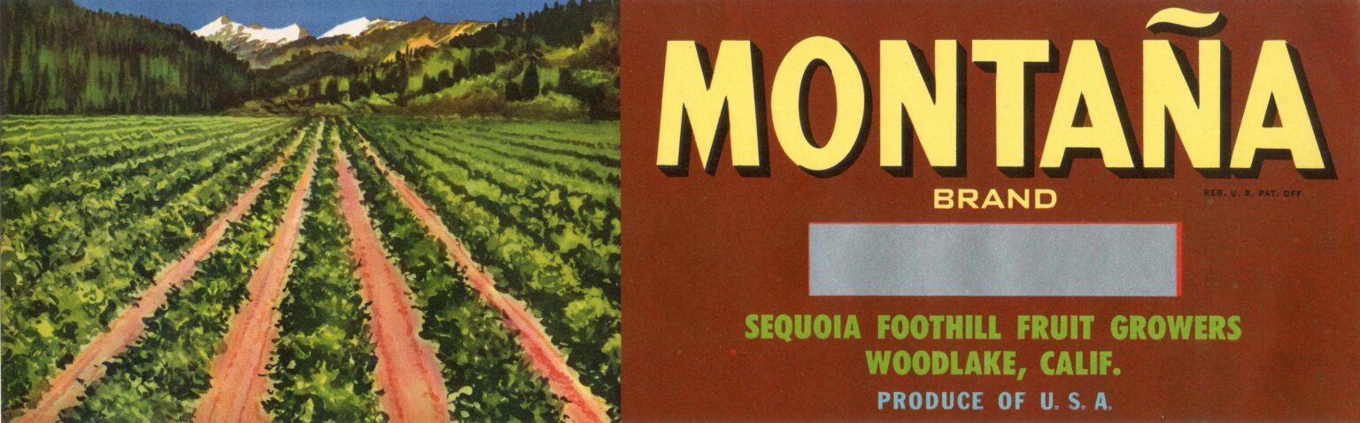 Montana