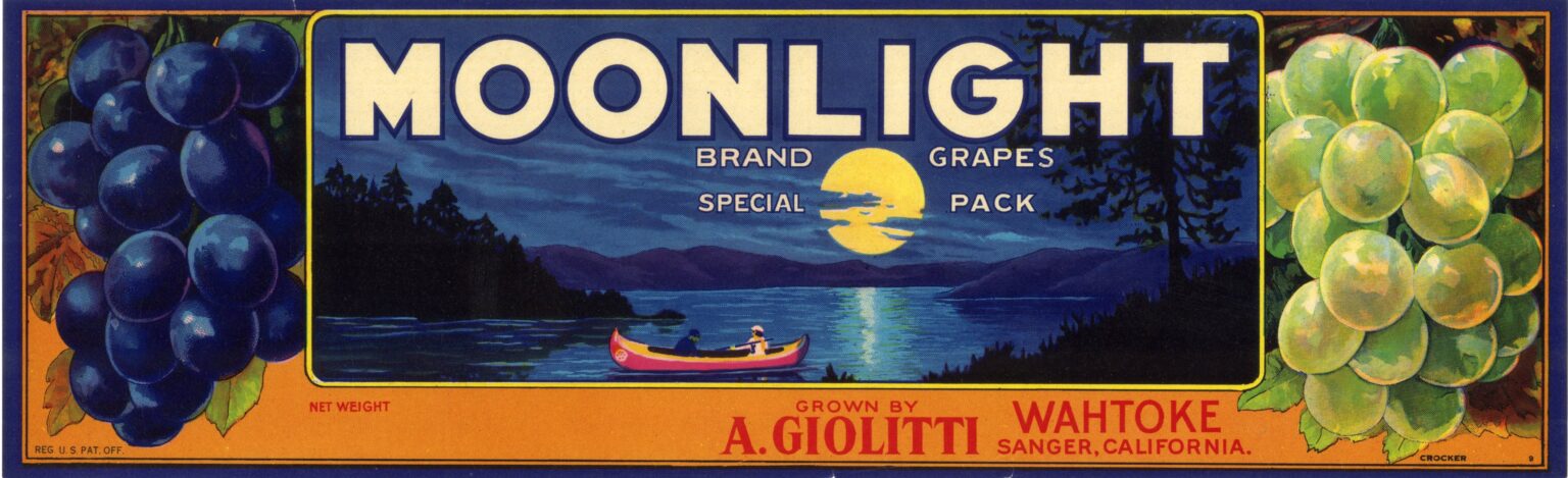 Moonlight Moonlight