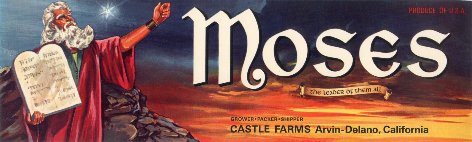 Moses Moses