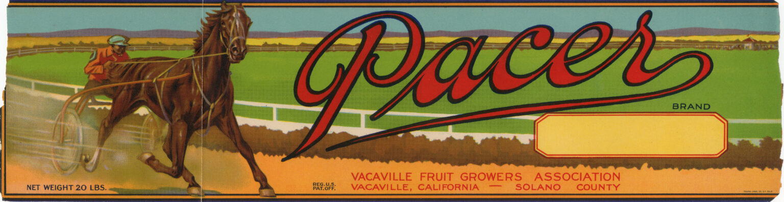 Pacer Pacer