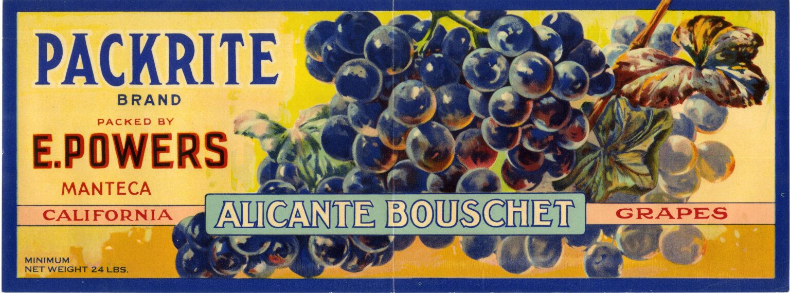 Packrite Packrite