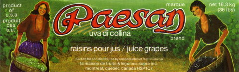 Paesan