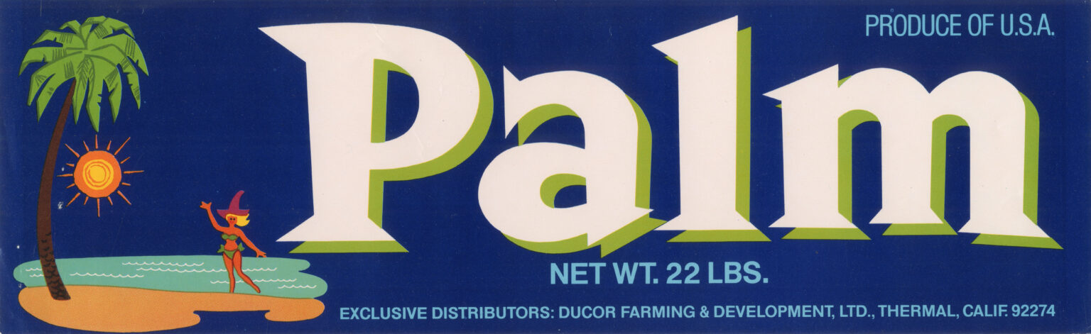Palm Palm
