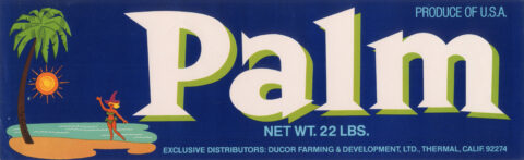 Palm