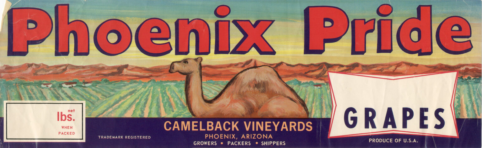 Phoenix Pride Phoenix Pride