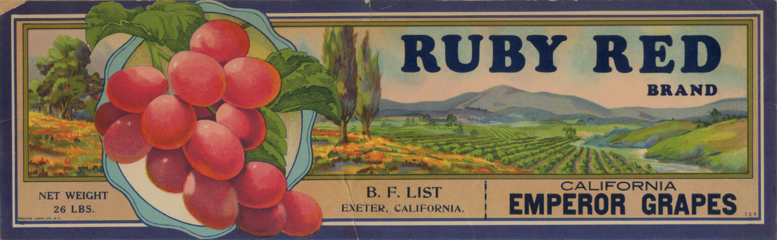 Ruby Red Ruby Red