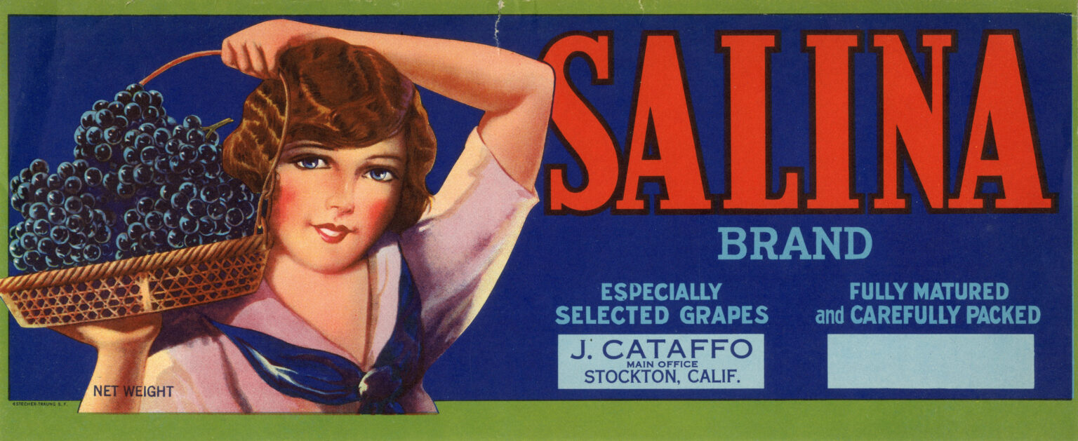 Salina