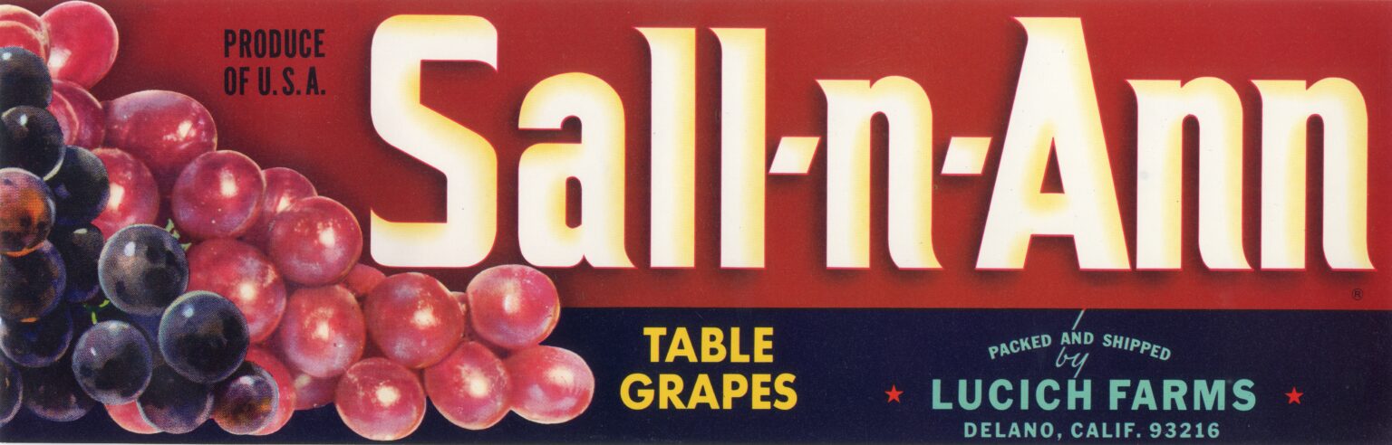 Sall n Ann Sall n Ann