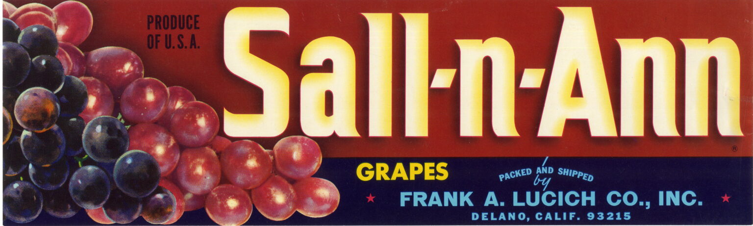 Sall n Ann Sall n Ann