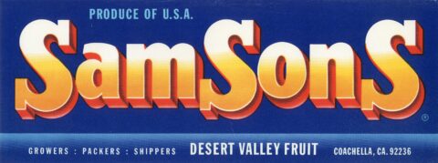 SamSonS