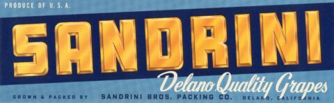 Sandrini