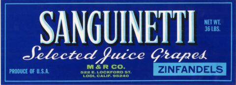 Sanguinetti