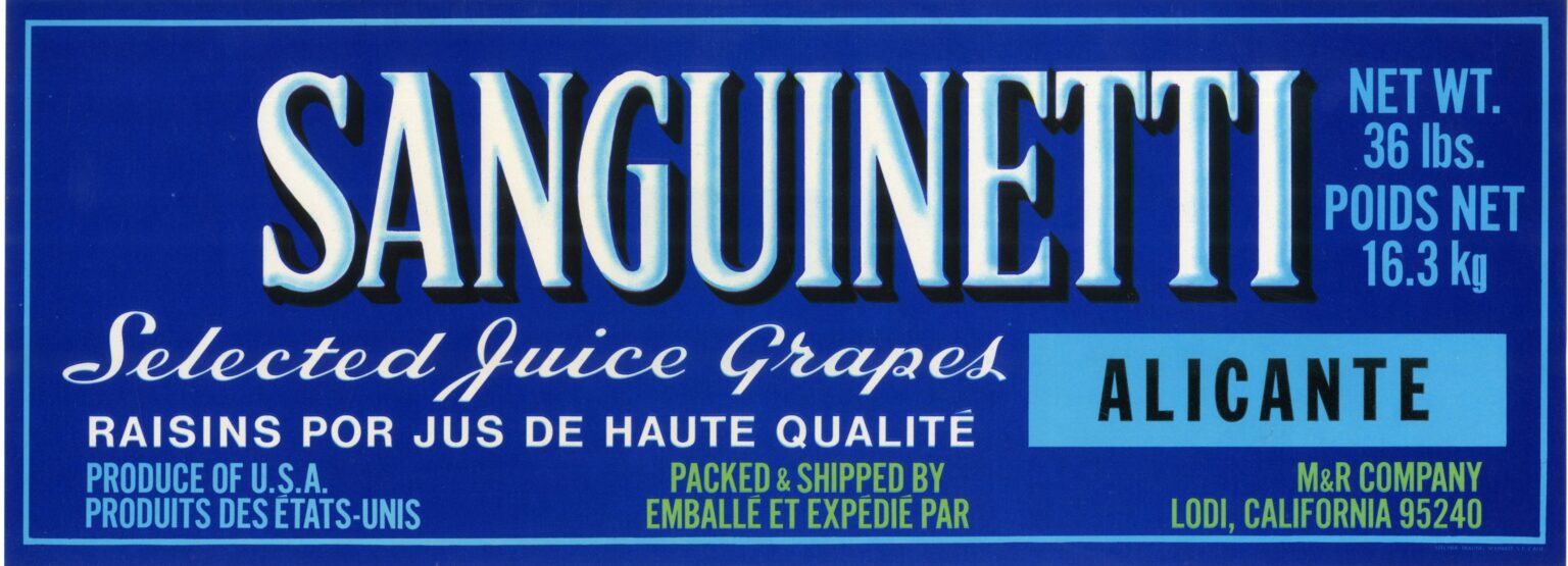 Sanguinetti Sanguinetti
