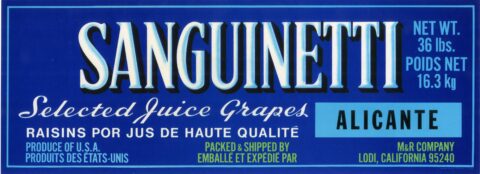 Sanguinetti