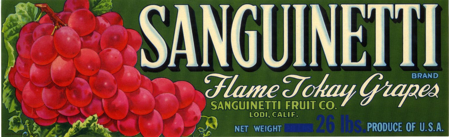 Sanguinetti Sanguinetti