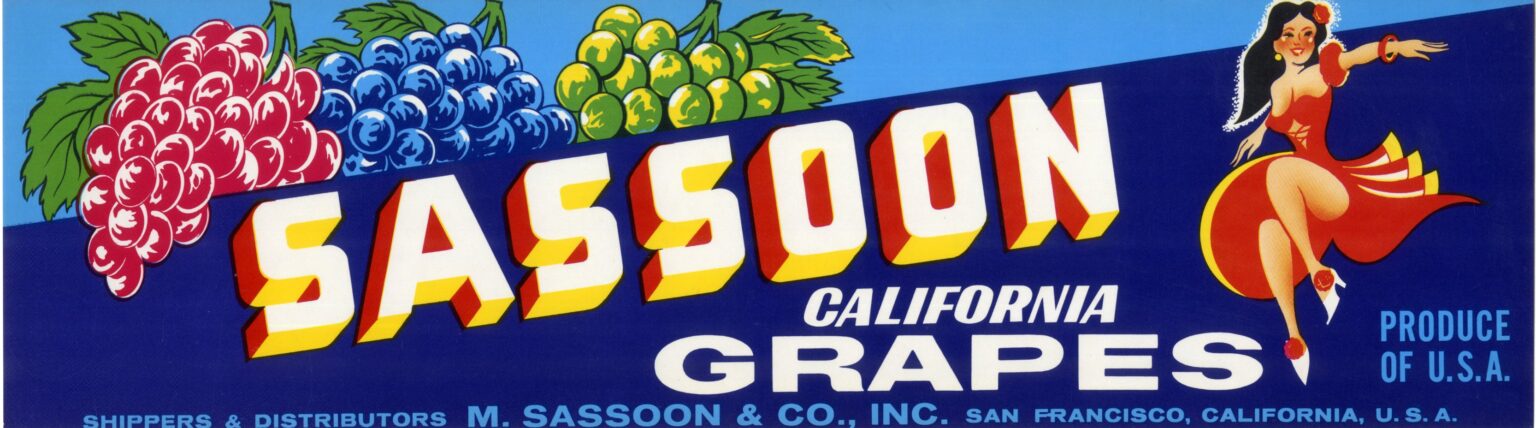 Sassoon Sassoon