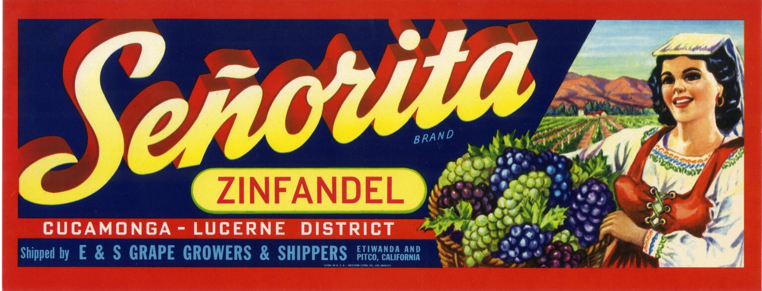 Senorita Senorita