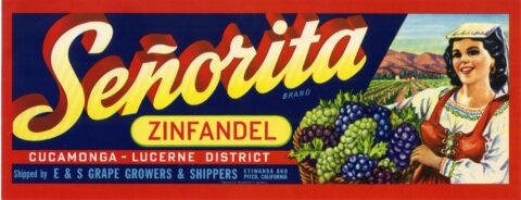 Senorita