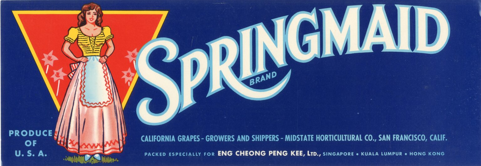 Springmaid Springmaid