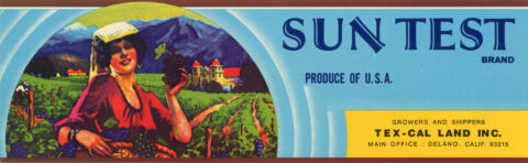 Sun Test-2