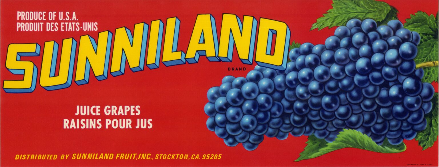 Sunniland Sunniland