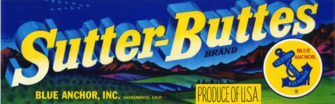 Sutter Buttes