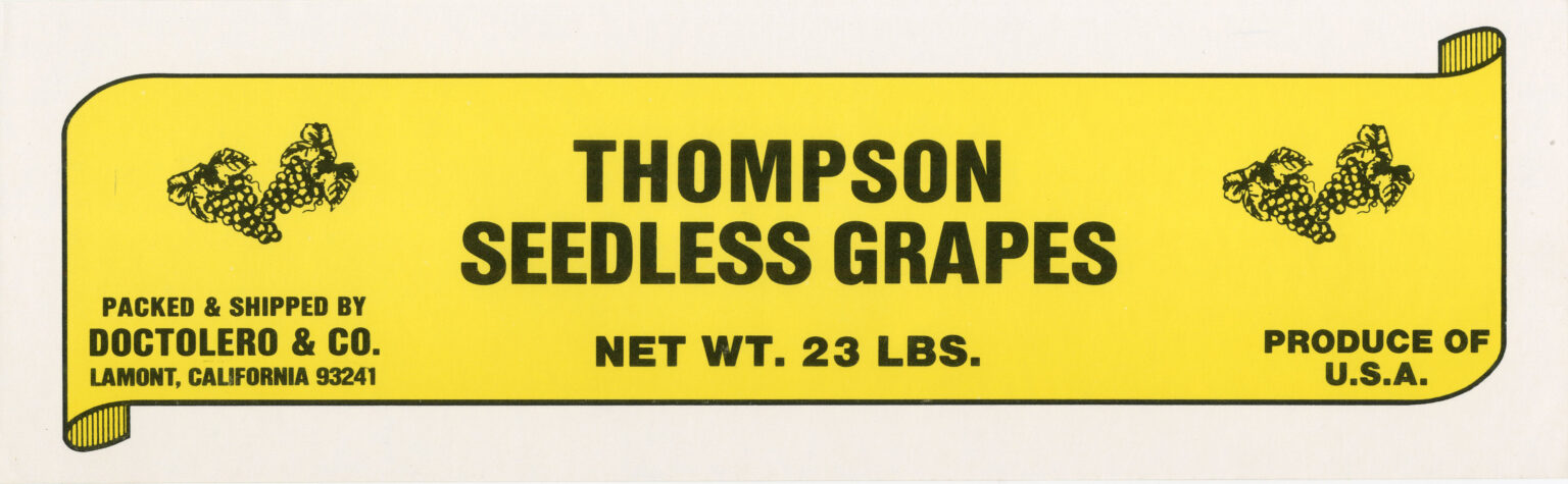 Thompson Seedless Grapes Thompson Seedless Grapes