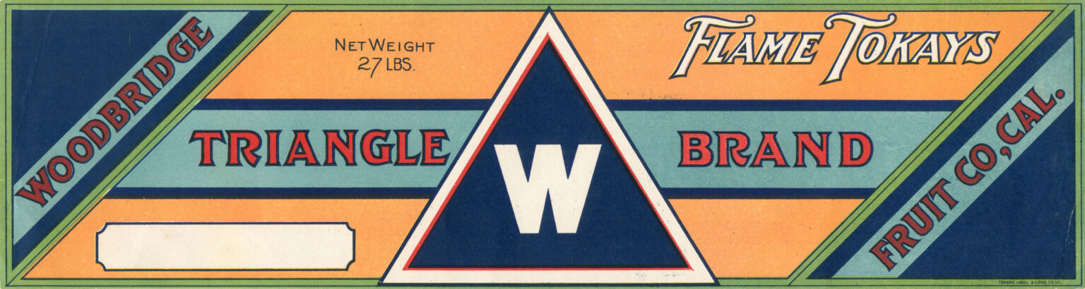 Triangle W Triangle W