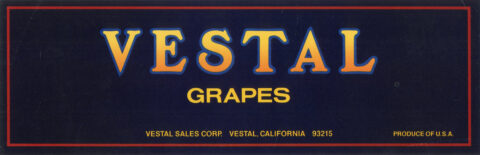 Vestal