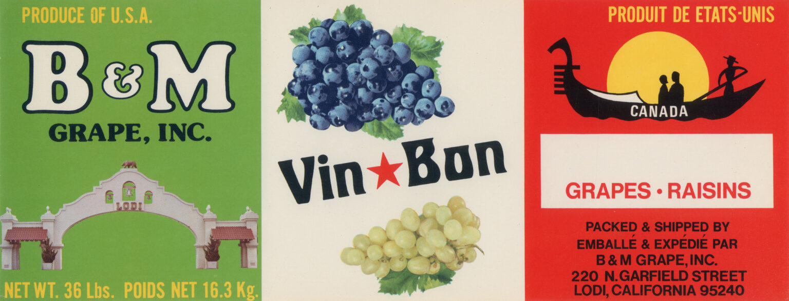 Vin Bon Vin Bon