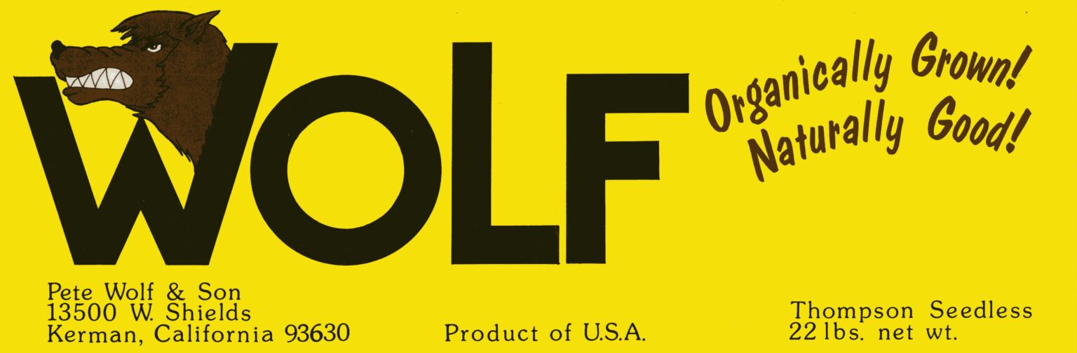 Wolf Wolf